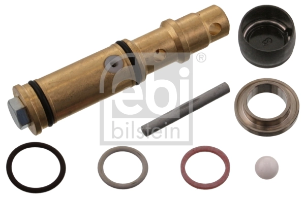 Set de reparatie pompa basculanta