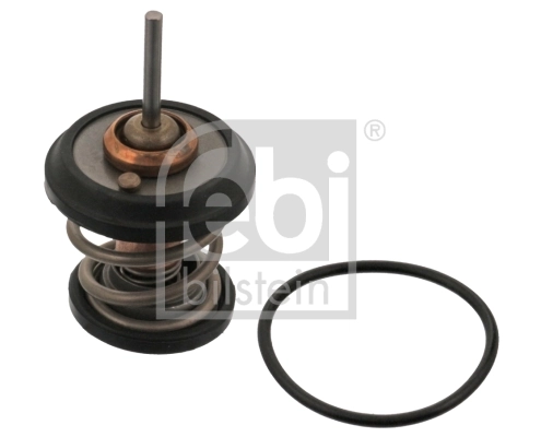 Termostat,lichid racire
