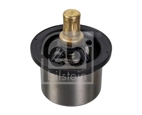 Termostat lichid racire