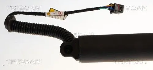 Amortizor portbagaj