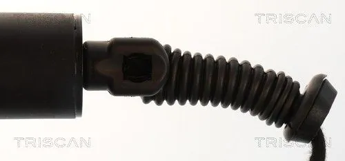 Amortizor portbagaj