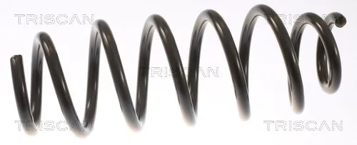 Arc suspensie