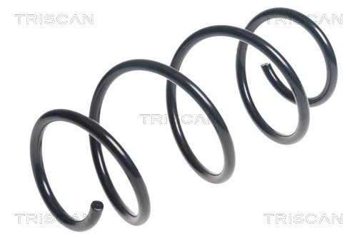 Arc suspensie
