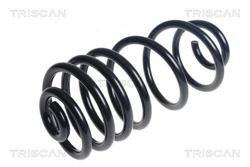 Arc suspensie