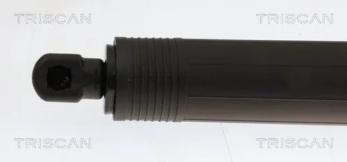 Amortizor portbagaj