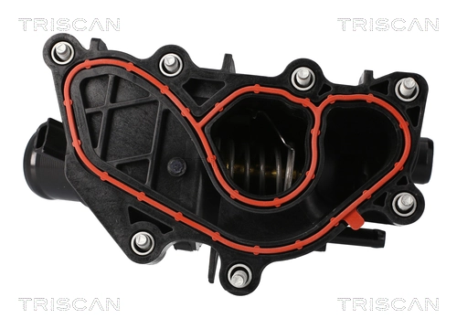 Termostat lichid racire