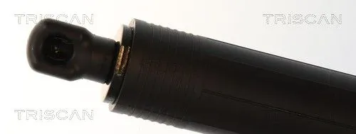 Amortizor portbagaj