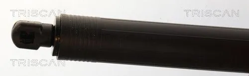 Amortizor portbagaj