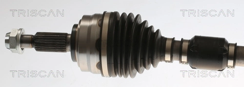 Planetara