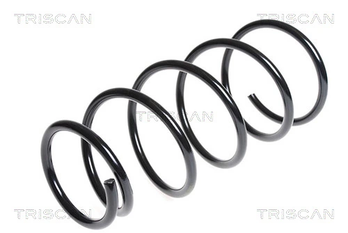Arc suspensie