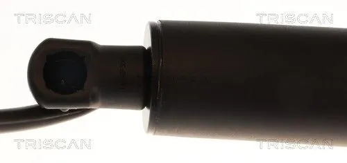 Amortizor portbagaj