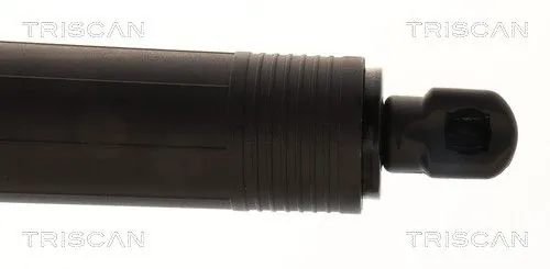 Amortizor portbagaj