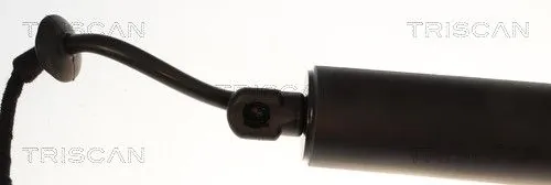 Amortizor portbagaj