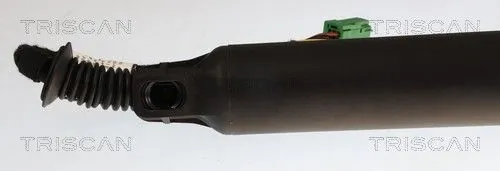 Amortizor portbagaj