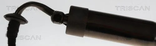 Amortizor portbagaj