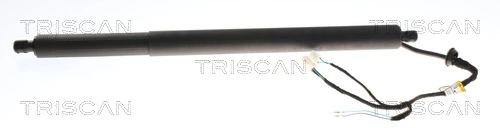 Amortizor portbagaj