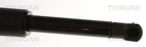 Amortizor portbagaj