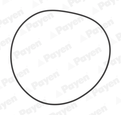 O-ring camasa cilindru