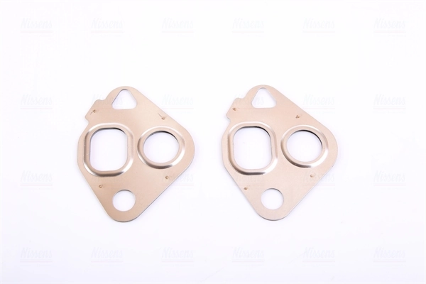 Supapa EGR