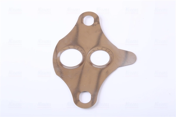 Supapa EGR