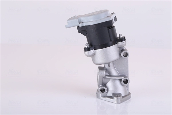 Supapa EGR