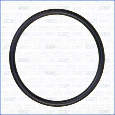 Garnitura termostat