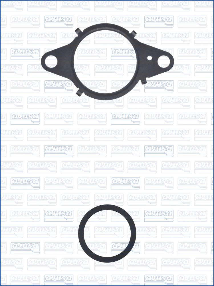 Set garnituri sistem EGR
