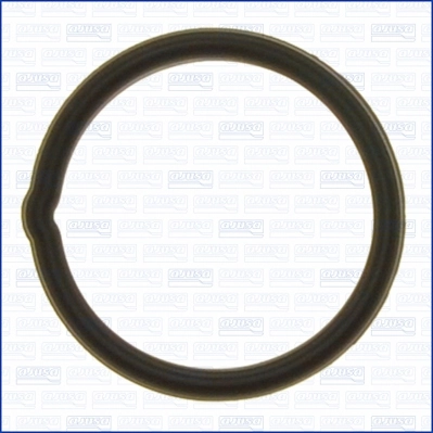 Garnitura termostat