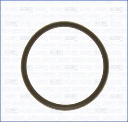 Garnitura termostat AJUSA AJU01029000
