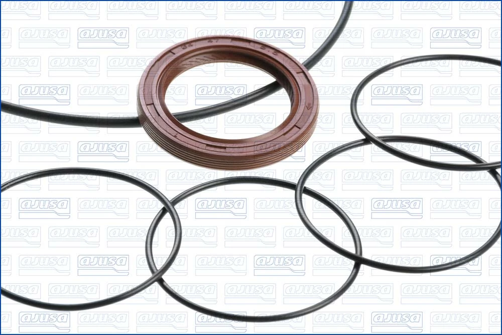 Set garnituri carter