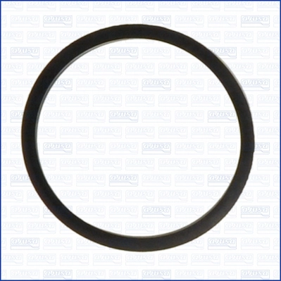 Garnitura termostat