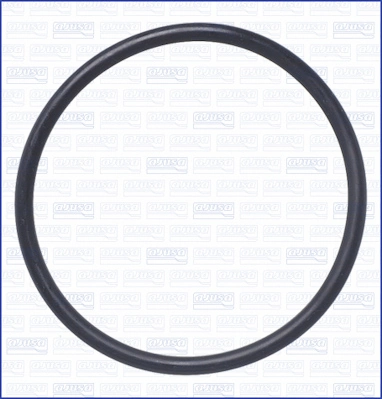 Garnitura termostat