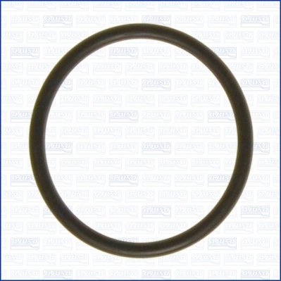 Garnitura termostat