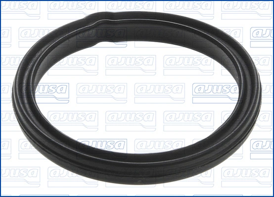 Garnitura termostat