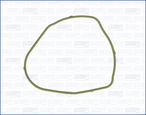 Garnitura carcasa termostat