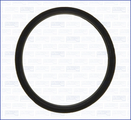 Garnitura termostat
