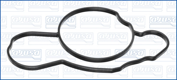 Garnitura, carcasa termostat