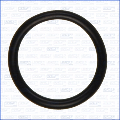 Garnitura termostat
