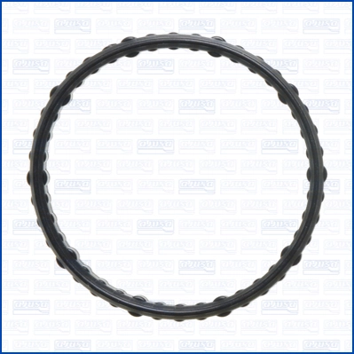 Garnitura carcasa termostat