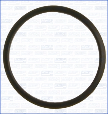 Garnitura termostat