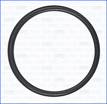 Garnitura termostat