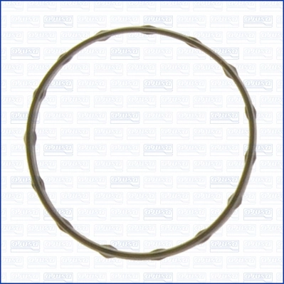 Garnitura termostat
