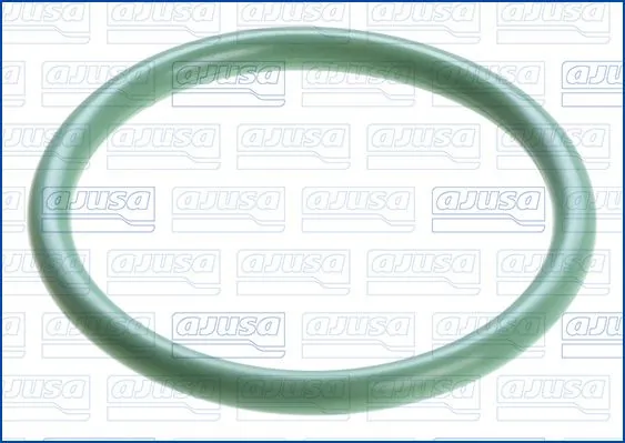 Garnitura conducta supapa-agr