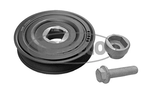 Set fulie arbore cotit