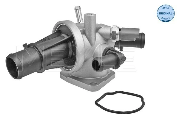 Termostat lichid racire