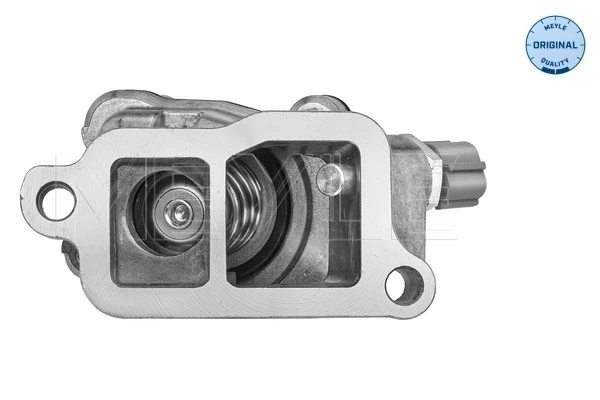 Termostat lichid racire