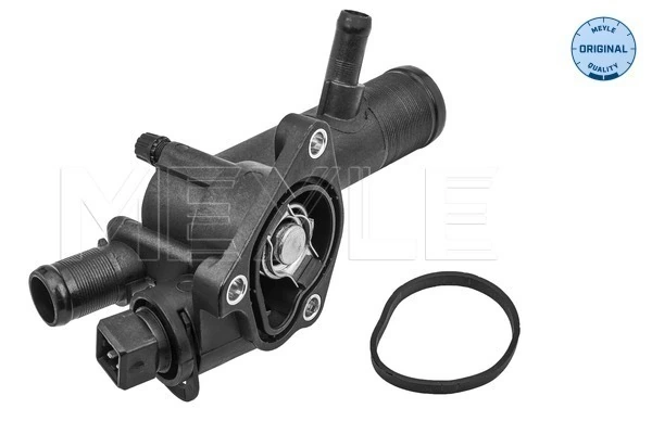 Termostat lichid racire