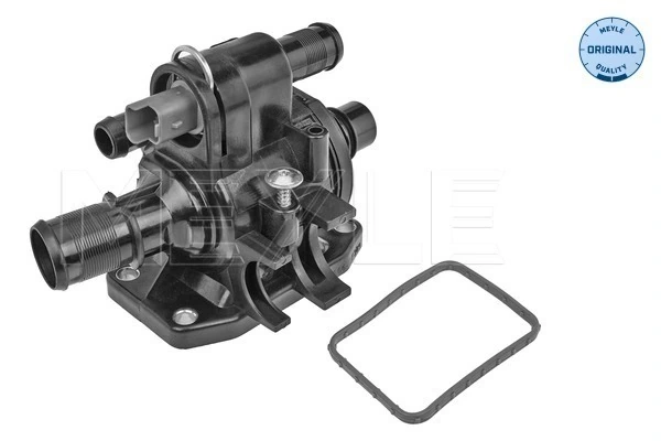 Termostat lichid racire