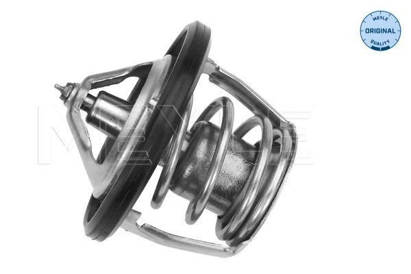 Termostat lichid racire