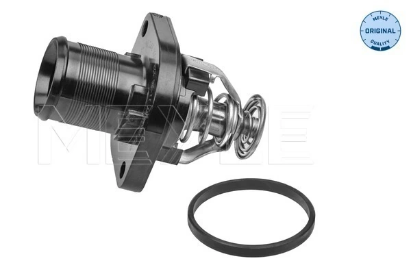 Termostat lichid racire